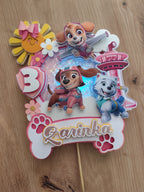 Svietiaci LED zápich na tortu – Paw Patrol 🐾💗